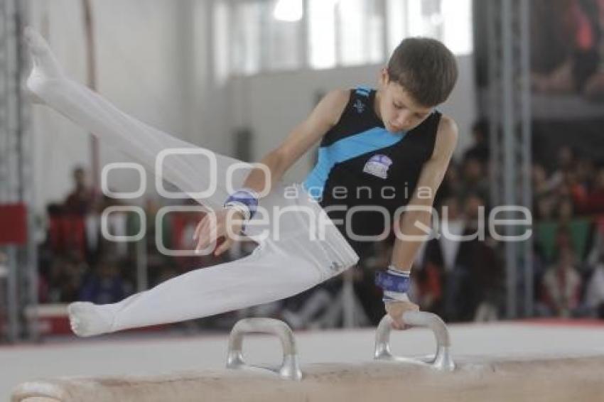 SELECTIVO GIMNASIA