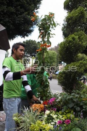 JARDINERAS DEL ZÓCALO