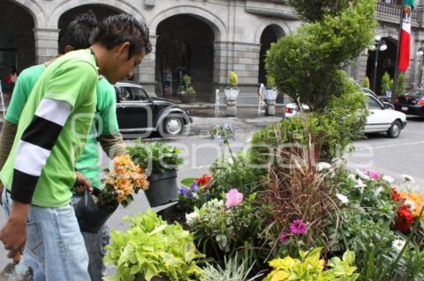 JARDINERAS DEL ZÓCALO