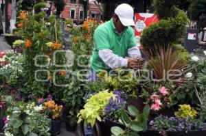 JARDINERAS DEL ZÓCALO