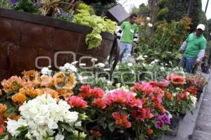 JARDINERAS DEL ZÓCALO