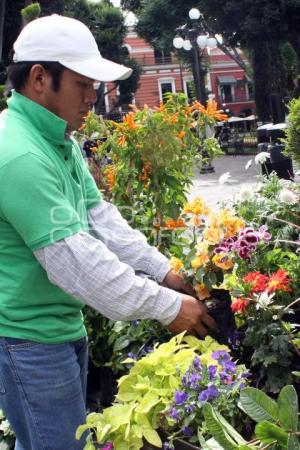 JARDINERAS DEL ZÓCALO