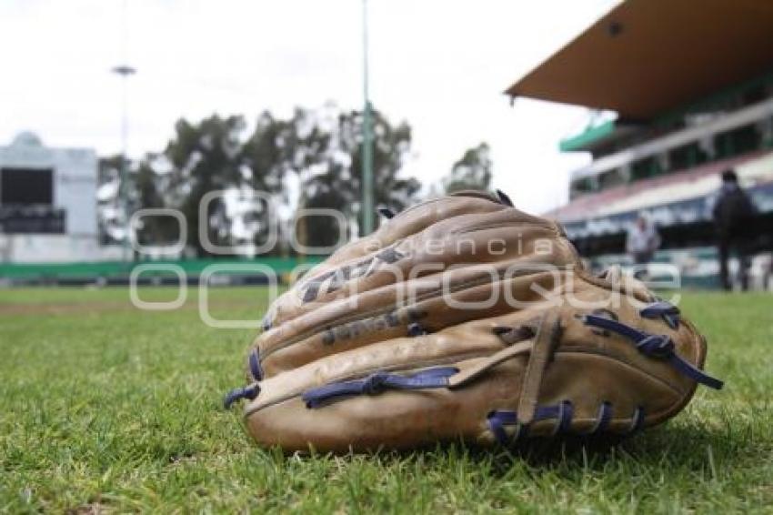 INICIAN PERICOS ENTRENAMIENTO