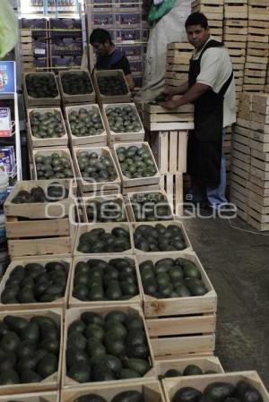 CENTRAL DE ABASTOS . AGUACATE