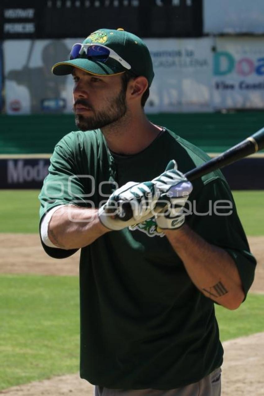 REFUERZOS PERICOS DE PUEBLA STEVE DOUGLAS