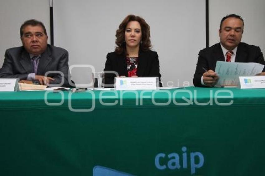 SESIÓN DE LA CAIP