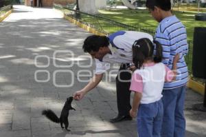 TURISMO . ARDILLAS EN CHOLULA