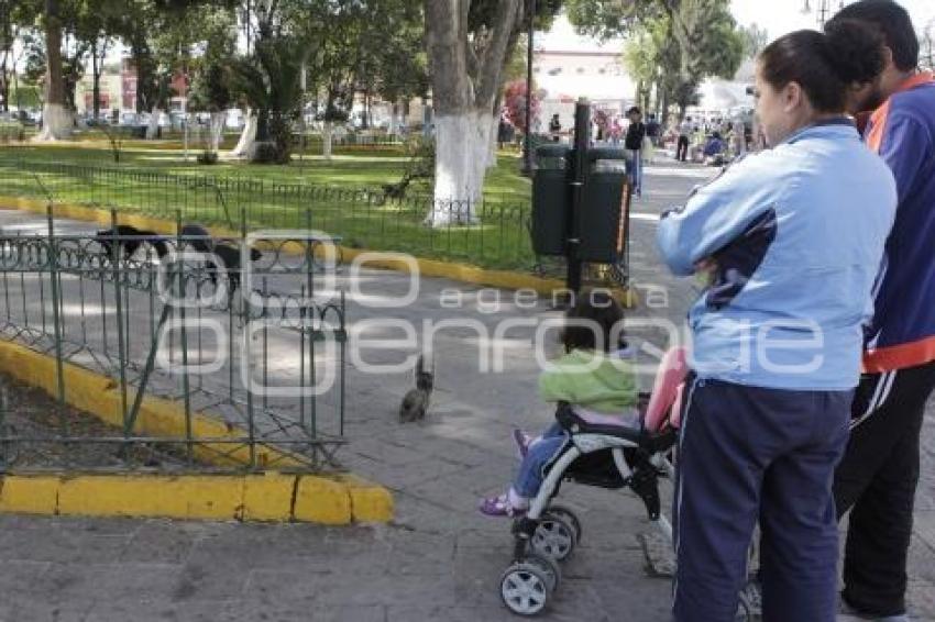 TURISMO . ARDILLAS EN CHOLULA