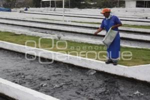 CULTIVO DE TRUCHA EN PUEBLA