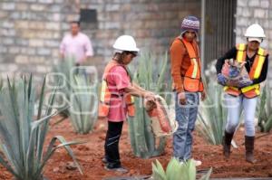 REMODELACIÓN PARQUE ZARAGOZA