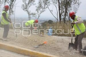 REMODELACIÓN DE LOS FUERTES