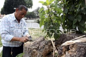 VIDA COTIDIANA