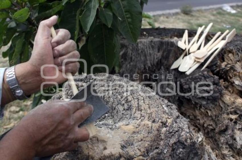 VIDA COTIDIANA