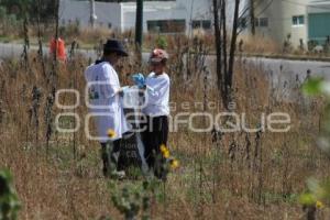 LIMPIAN DE RESIDUOS SÓLIDOS EN PERIFÉRICO ECOLÓGICO