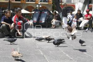 VIDA COTIDIANA