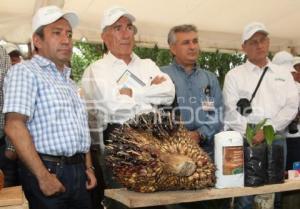 VISITA PUEBLA TITULAR DE LA SAGARPA