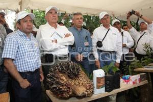 VISITA PUEBLA TITULAR DE LA SAGARPA