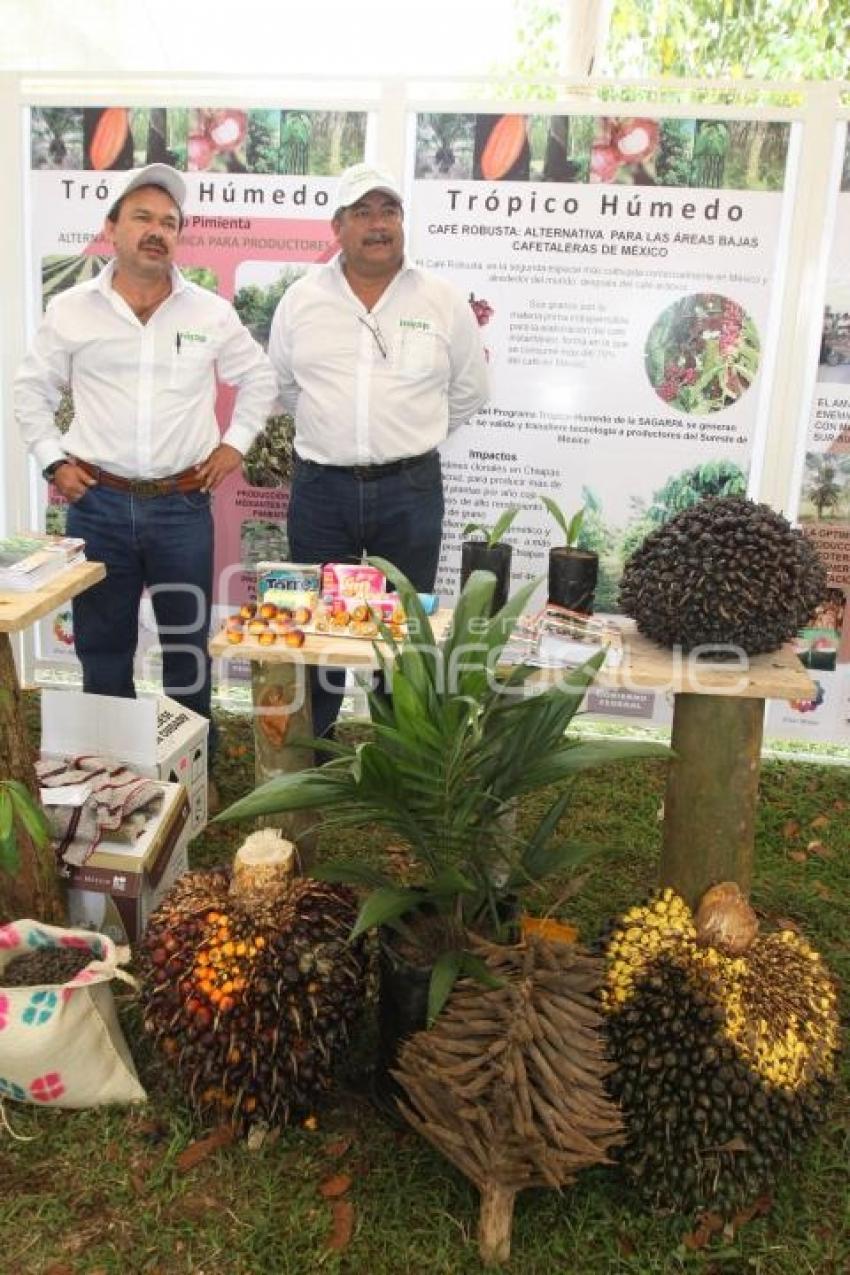 PROYECTO TROPICO HUMEDO SAGARPA