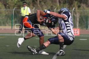 BORREGOS TEC PUEBLA VS BORREGOS