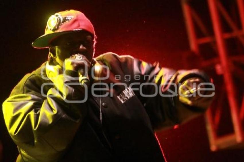 PUBLIC ENEMY. FESTIVAL 72810