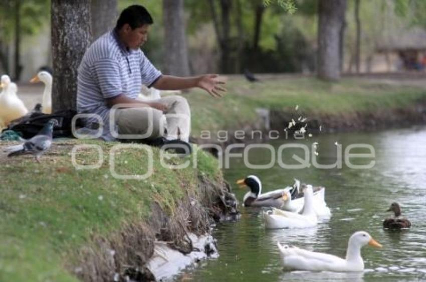 PARQUE ECOLÓGICO