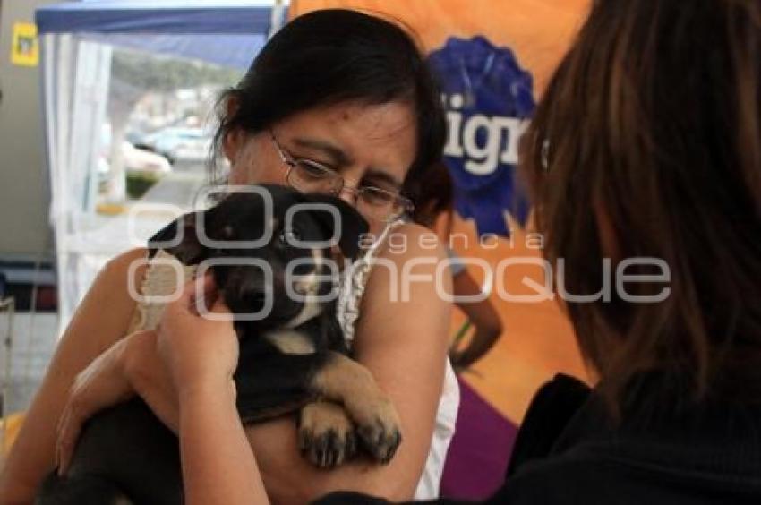 HOGAR CANINO VIDA NUEVA