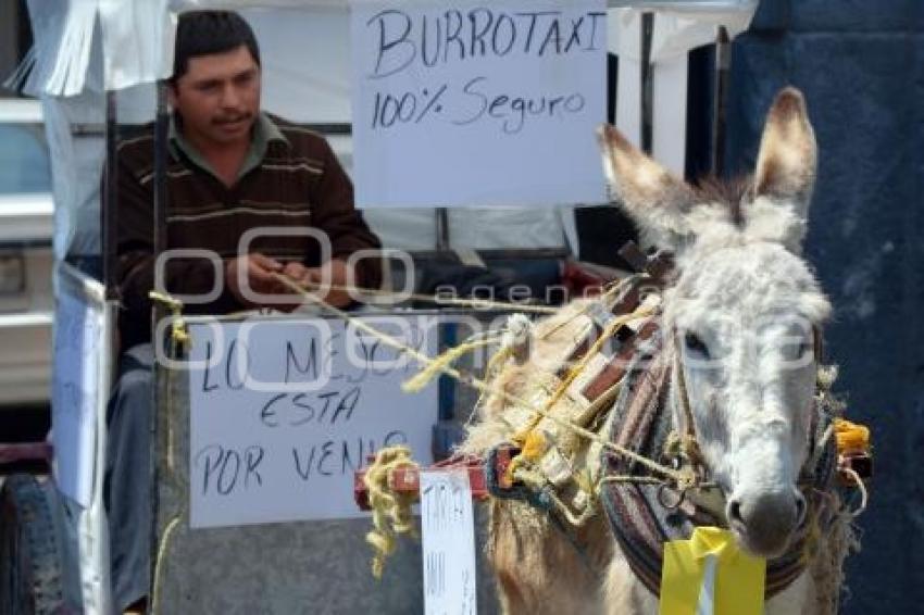 MANIFESTACIÓN BURROTAXI