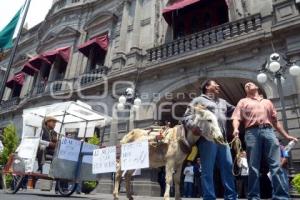 MANIFESTACIÓN BURROTAXI