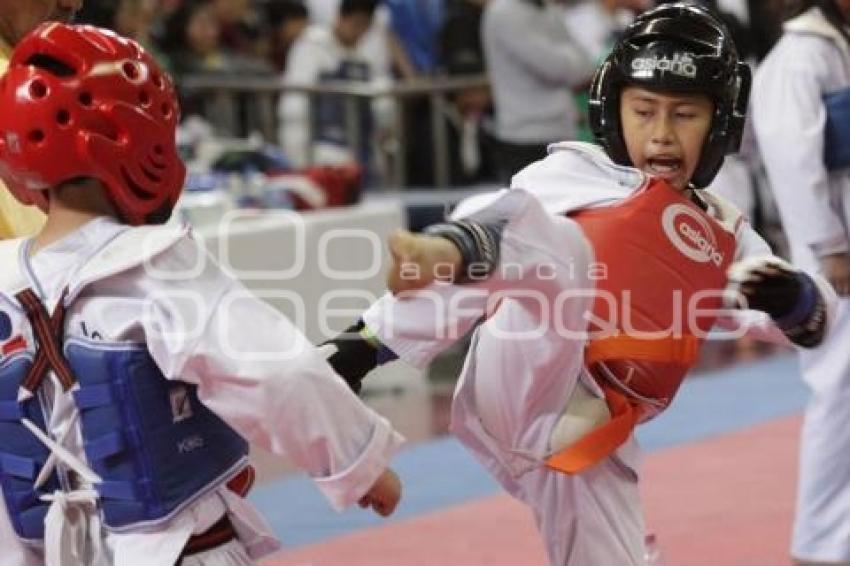 TAEKWONDO CHALLENGER