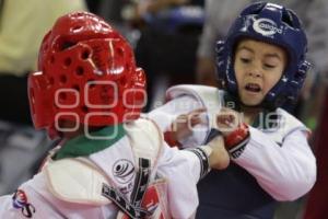 TAEKWONDO CHALLENGER