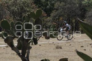 TERMINA MOUNTAIN BIKE