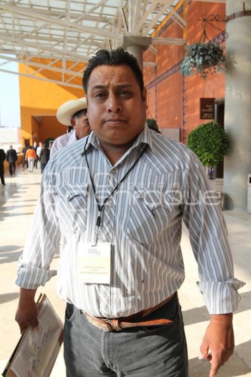 GABRIEL MADARIAGA CAMPOS . TEOTLALCO