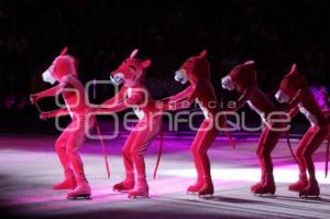 FERIA DE PUEBLA . PISTA DE HIELO