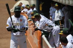 PERICOS VS LAGUNA . BEISBOL