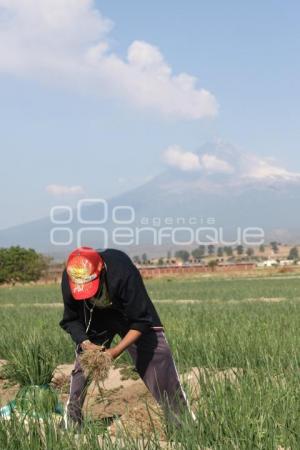 VOLCÁN POPOCATÉPETL