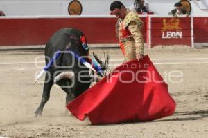 TORERO FERMIN SPINOLA