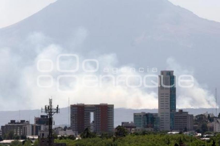 INCENDIO FORESTAL