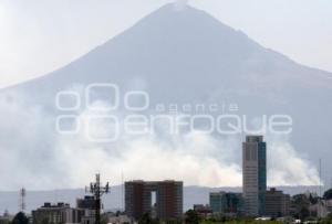 INCENDIO FORESTAL