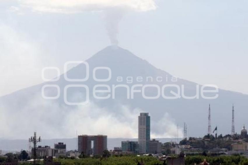 INCENDIO FORESTAL