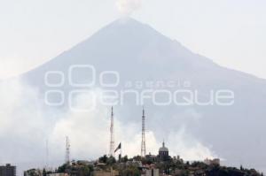 INCENDIO FORESTAL