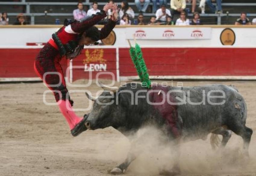 TORERO EL CHIHUAHUA