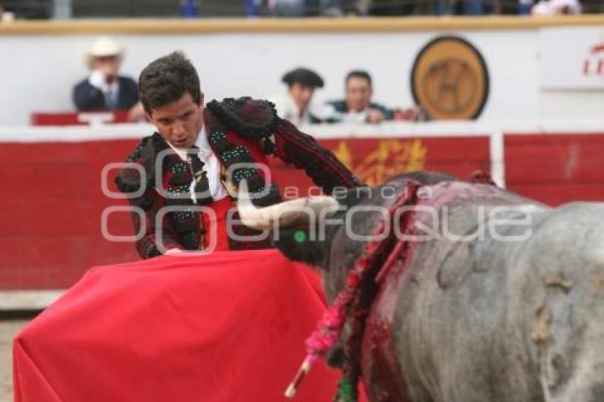 TORERO EL CHIHUAHUA