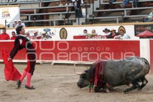 TORERO EL CHIHUAHUA