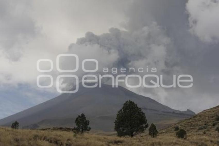 FUMAROLA VOLCÁN