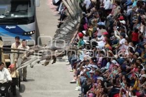 DESFILE 5 DE MAYO