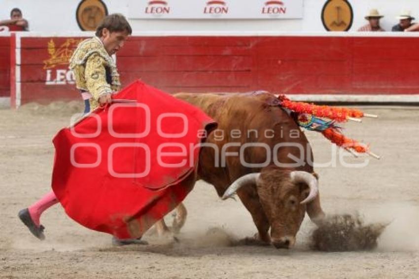 TORERO FABIA BARBA