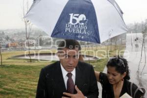 TONY GALI