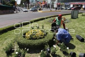 RESCATAN ÁREAS VERDES DE LA AVENIDA JUÁREZ