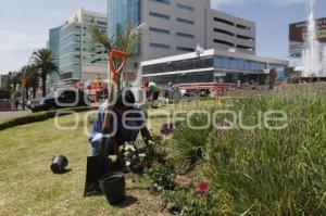 RESCATAN ÁREAS VERDES DE LA AVENIDA JUÁREZ