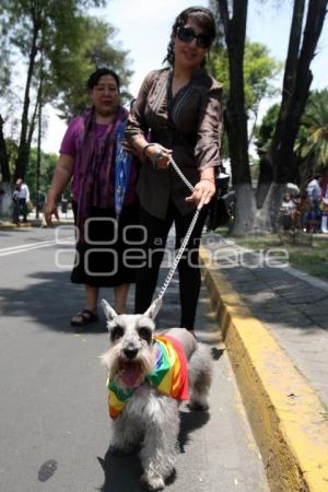 MARCHA POR LA DIVERSIDAD SEXUAL